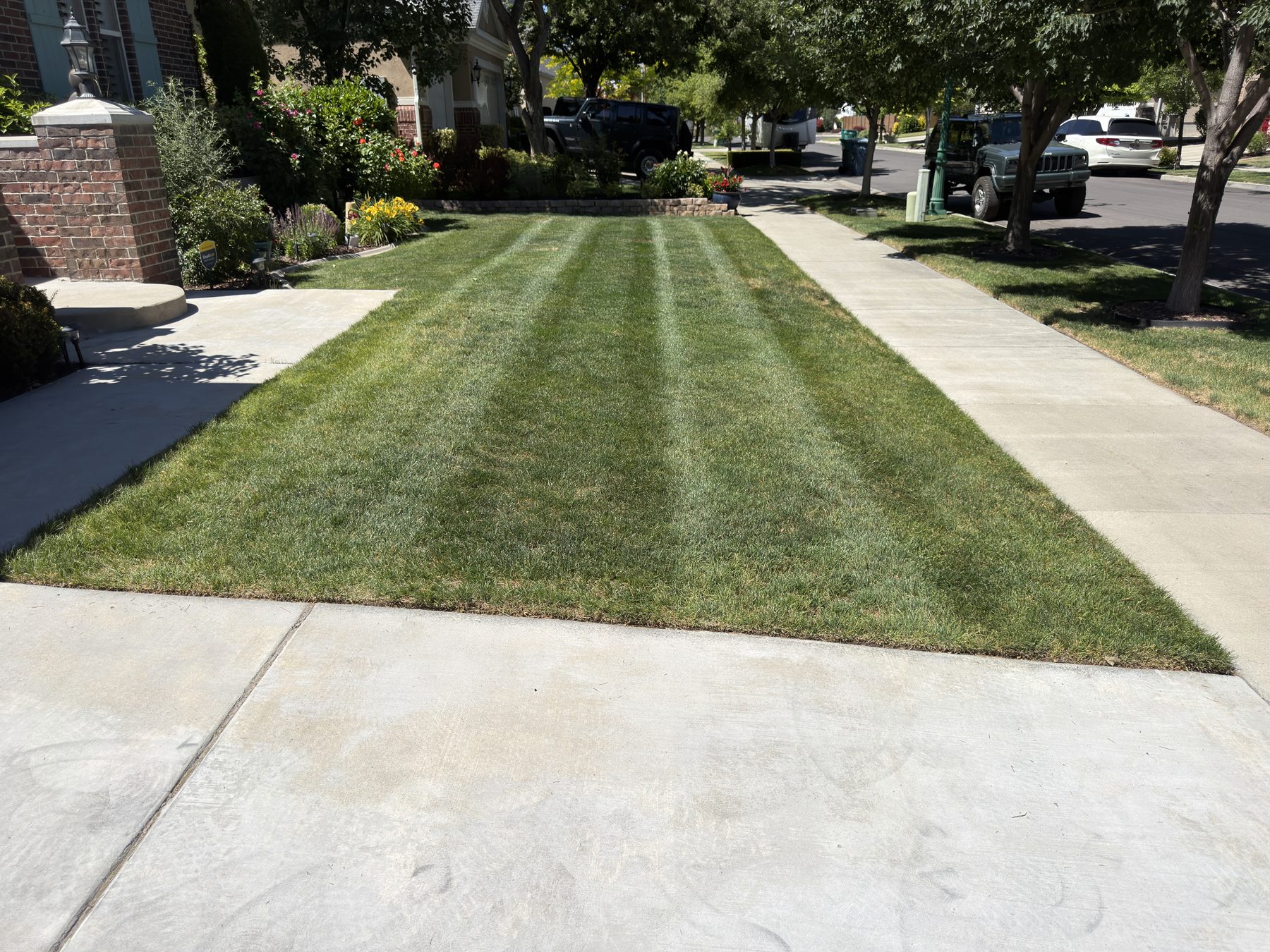 Striped residential front lawn