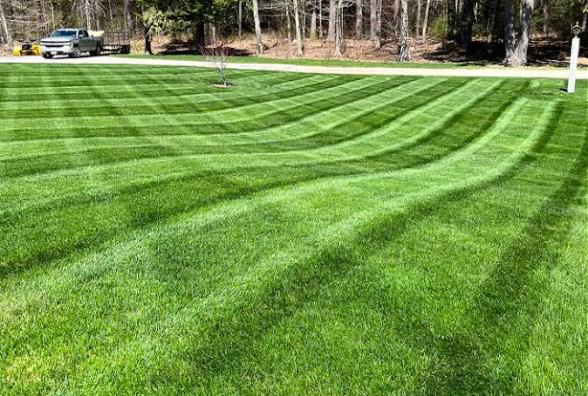 Fresh lawn stripes near wooded edge