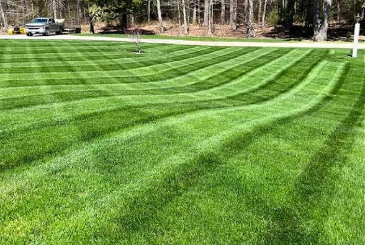 Fresh lawn stripes near wooded edge